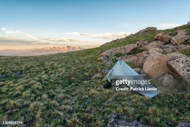 camping in the buffalo peaks wilderness, colorado - windbreak stock pictures, royalty-free photos & images