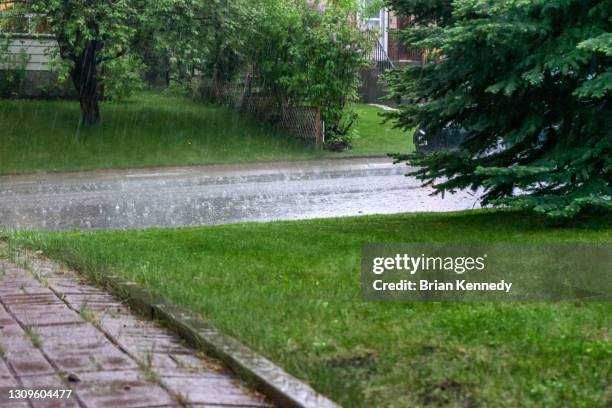 june rain - rain garden stock pictures, royalty-free photos & images