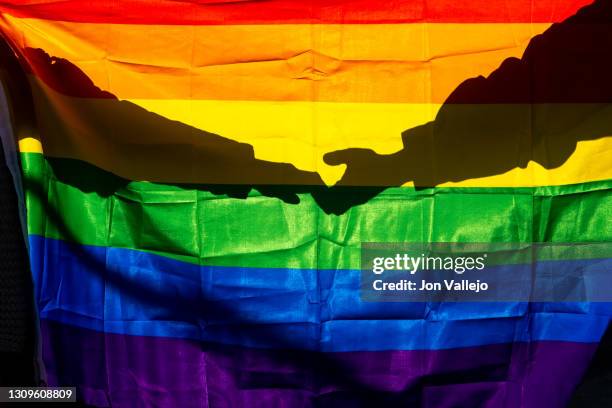 two women are holding hands against the light through the lgtbi flag. - personas lgtbqi fotografías e imágenes de stock