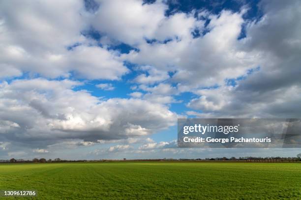 scattered clouds over a green grass field - noord holland landschap stockfoto's en -beelden