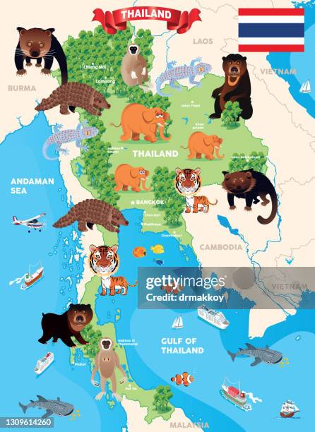 thailand map - phuket stock illustrations