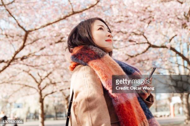young woman standing under cherry blossoms tree with her smartphone - cherry blossoms in full bloom in tokyo imagens e fotografias de stock