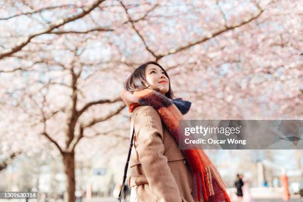 young woman walking under cherry blossoms trees in park - cherry blossoms in full bloom in tokyo imagens e fotografias de stock