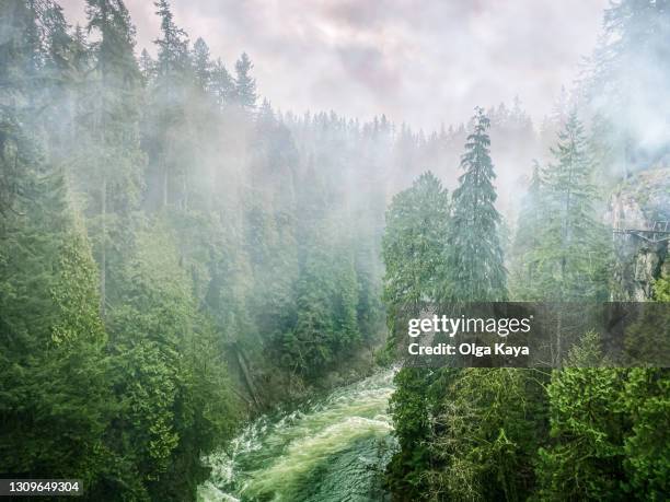 evergreen - vancouver bridge stock pictures, royalty-free photos & images