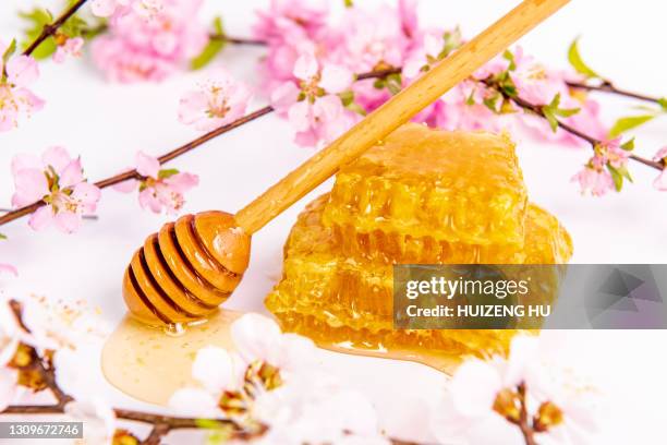 honeycomb with honey dipper and spring flowers on white background - manuka honey stock pictures, royalty-free photos & images