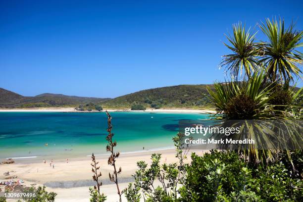 matai bay - northland new zealand stock pictures, royalty-free photos & images