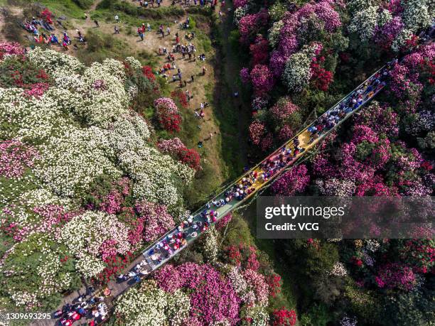 Azalea Fest Azalea Festival Photos and Premium High Res Pictures - Getty Images