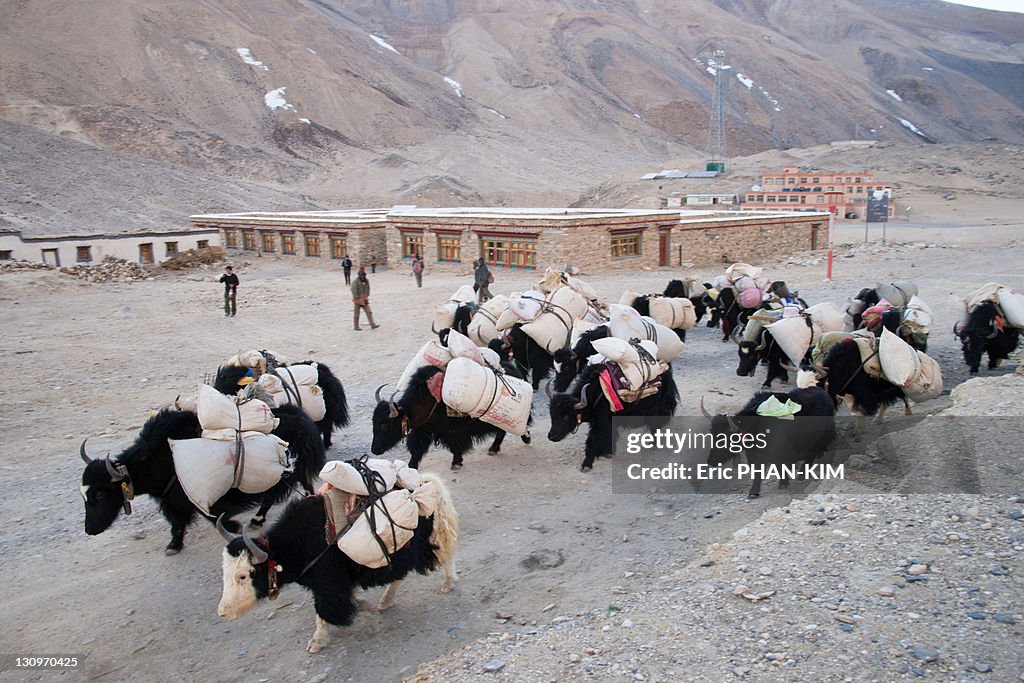 Rongbuk Monastery, Mt Everest, China