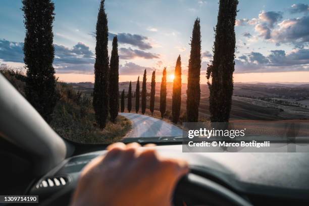 personal perspective of person driving on a treelined driveway - tuscany sunset stock pictures, royalty-free photos & images