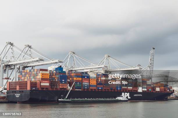 Apl Raffles Container Unloading Photos and Premium High Res Pictures - Getty Images