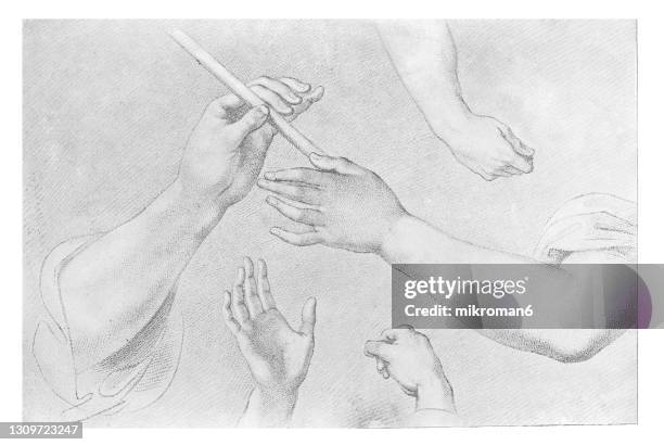 old engraved illustration of sketching hands - learning to draw - human representation stock pictures, royalty-free photos & images