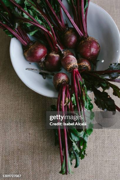 raw organic beets - rote bete gezeichnet stock-fotos und bilder