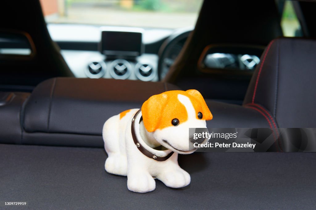 Nodding dog in rear of car