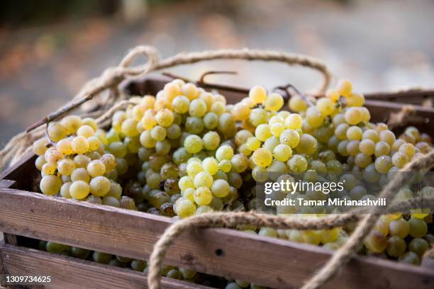 grapes in a wooden box - georgia stock-fotos und bilder