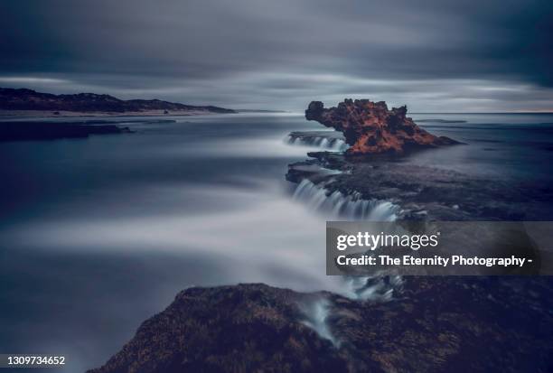 the dragon's head at number 16 beach, near rye, mornington peninsula, victoria, australia. - mornington peninsula stockfoto's en -beelden