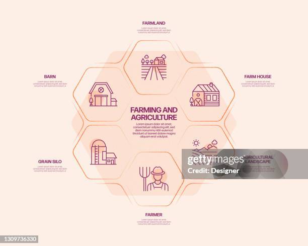 stockillustraties, clipart, cartoons en iconen met landbouw en landbouw gerelateerde proces infographic sjabloon. procestijdlijndiagram. werkstroomlay-out met pictogrammen - livestock infograph