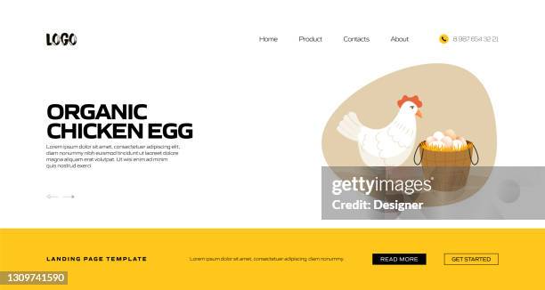 organic chicken egg concept vector illustration for landing page template, website banner, advertisement and marketing material, online advertising, business presentation etc. - casting net stock illustrations