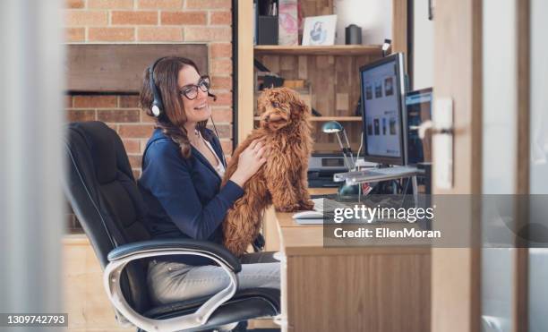 thuis werken - home office stockfoto's en -beelden