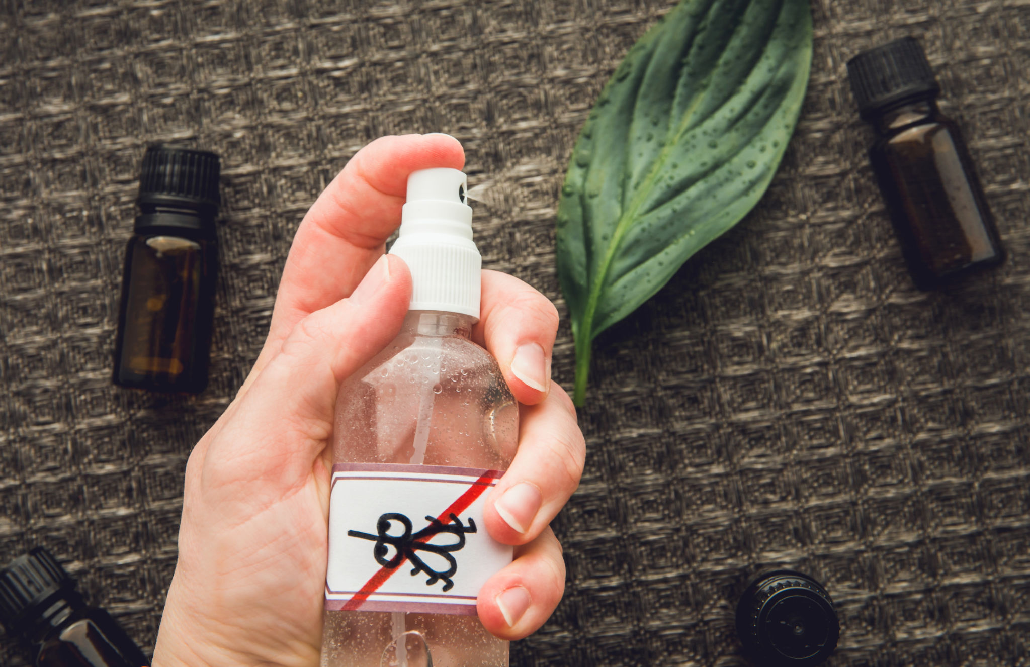 homemade pest repellent