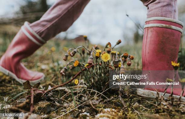 a child wearing pink wellies taking a big stride in the great outdoors - stamping feet stock pictures, royalty-free photos & images