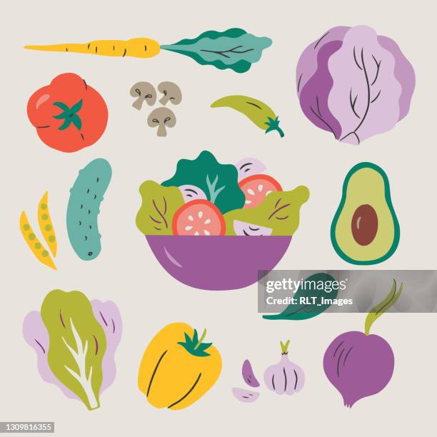 abbildung von salat und frischen zutaten — handgezeichnete vektorelemente - salatschüssel stock-grafiken, -clipart, -cartoons und -symbole