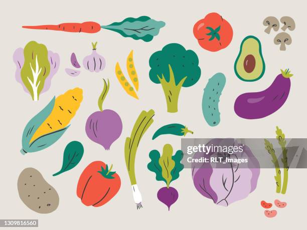 ilustraciones, imágenes clip art, dibujos animados e iconos de stock de ilustración de verduras frescas — elementos vectoriales dibujados a mano - maíz alimento