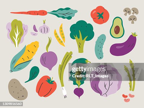 Illustration of fresh vegetables — hand-drawn vector elements Illustration of fresh vegetables — hand-drawn vector elements