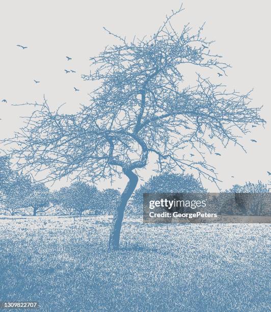 bare tree and footpath - minnesota spring stock illustrations