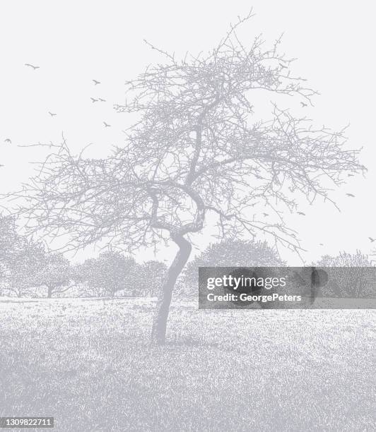 bare tree and footpath - forest path stock illustrations