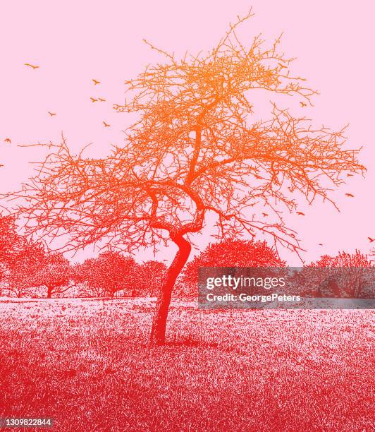 bare tree and footpath - forest path stock illustrations