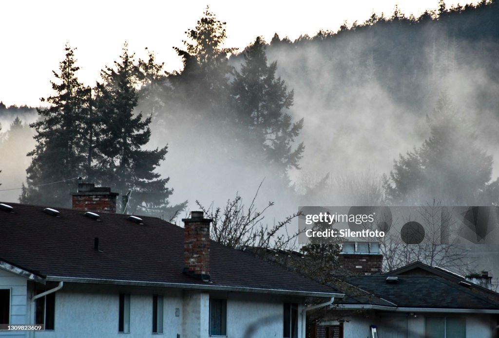 Smoke Rises Over Roofs & Treetops