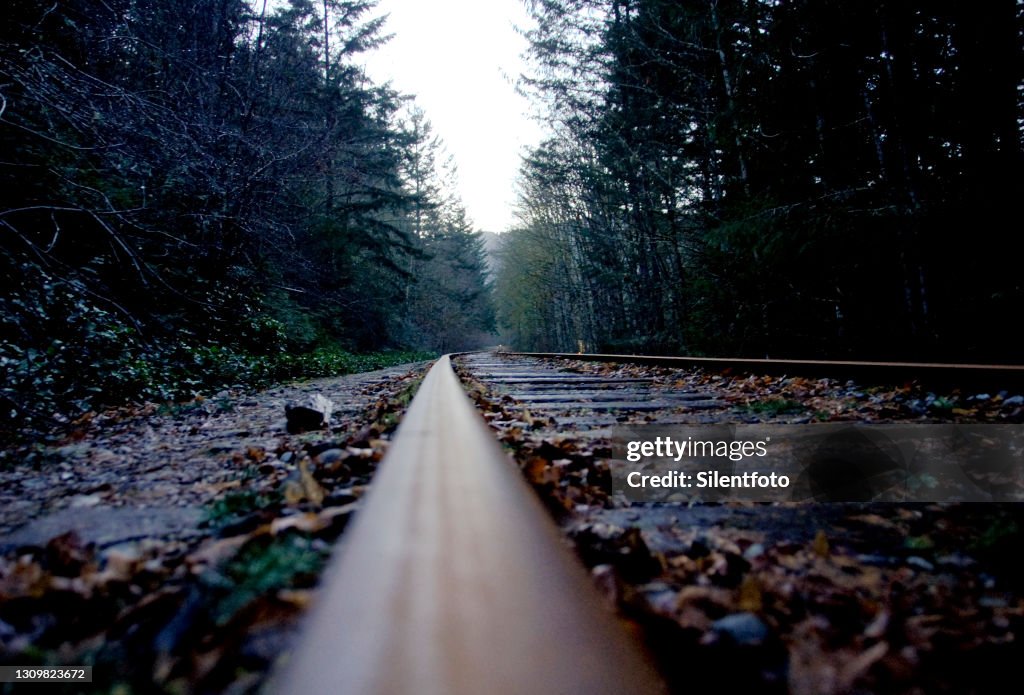 Low Angle View of Rustic Railtracks Passing Through Forest