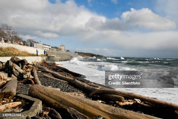 high surf charges seawall & driftwood beach - victoria canada stock-fotos und bilder