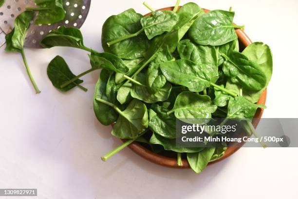 high angle view of leaf vegetable in bowl on white background,france - espinaca fotografías e imágenes de stock