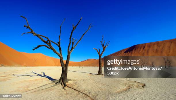 scenic view of desert against clear blue sky,sossusvlei,namibia - desastre ambiental imagens e fotografias de stock