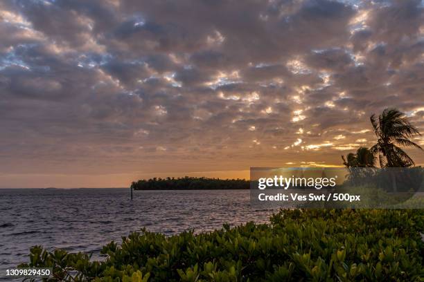 scenic view of sea against sky during sunset,cape coral,florida,united states,usa - cape coral stockfoto's en -beelden