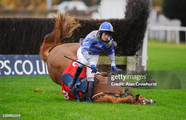 Charlie Poste Racing Charlie Poste riding Autumn Spirit fall at the last in The London ...