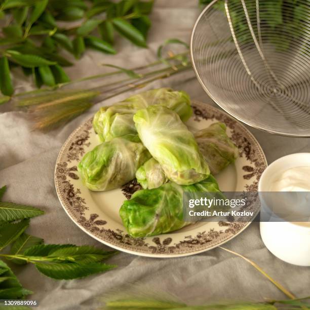 stuffed cabbage rolls with meat. side view of uncooked cabbage rolls in plate on kitchen table covered with linen cloth or burlap. making process of convenience food. soft focus. 1x1 format - kohlroulade stock-fotos und bilder