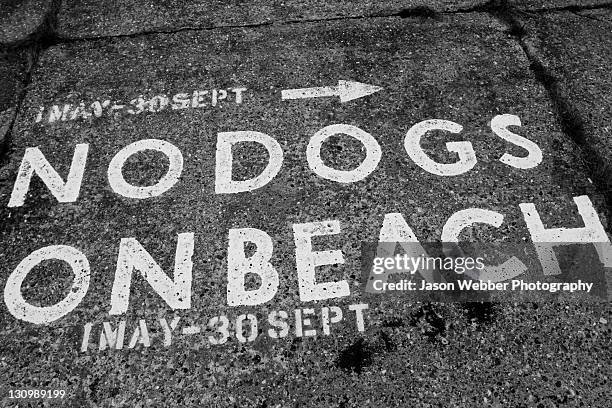 sign of 'no dogs on beach' - kessingland stock pictures, royalty-free photos & images