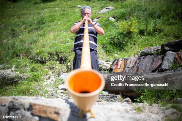 traditional alpine horn played by senior man. - alphorn stock-fotos und bilder
