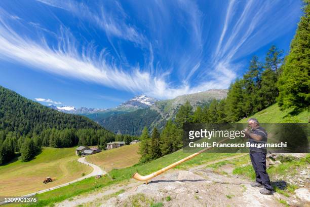 lonely man plays alpine horn looking val di campo landscape. - alphorn stock-fotos und bilder
