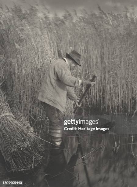 Reed-Cutter at Work, 1886. Artist Dr Peter Henry Emerson, Thomas Frederick Goodall. .