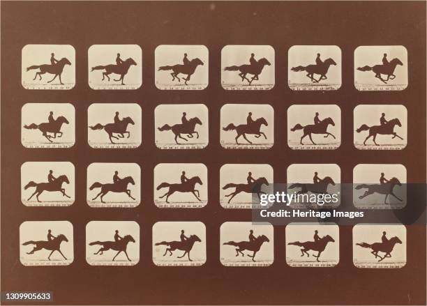 Horses. Running. Phyrne L. No. 40, 1879. Artist Eadweard J Muybridge. .