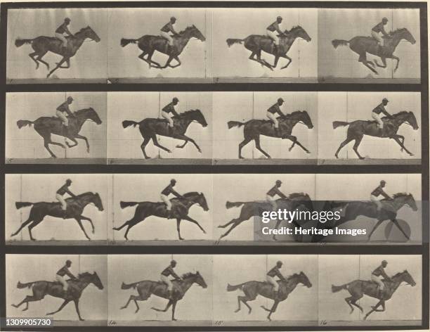 Plate Number 626. Gallop, thoroughbred bay mare, Annie G., 1887. Artist Eadweard J Muybridge. .