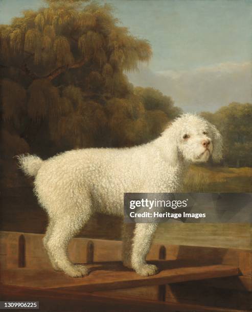 White Poodle in a Punt, circa 1780. Artist George Stubbs. .