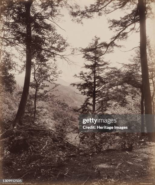 William Rau 119 William H Rau Stock Photos, High-Res Pictures, and Images - Getty ...