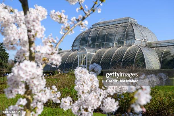 General view of Palm House during the "Dennis and Gnasher's Big Bonanza" at Kew Gardens on March 30, 2021 in London, England.
