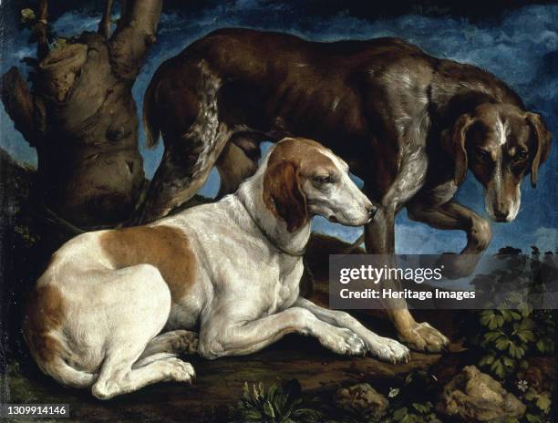 Two hunting dogs, 1548-1549. Found in the collection of Musée du Louvre, Paris. Artist Bassano, Jacopo, il vecchio . .