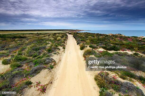 coastal road - coastal road stock pictures, royalty-free photos & images