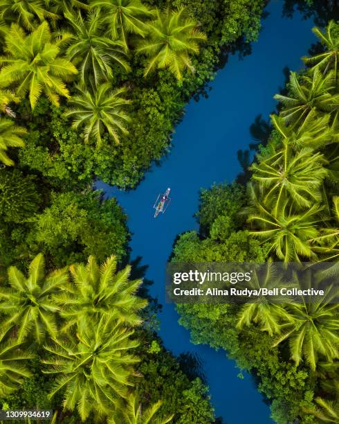 aerial view of a boat on a river surrounded by palm trees - philippinen stock-fotos und bilder